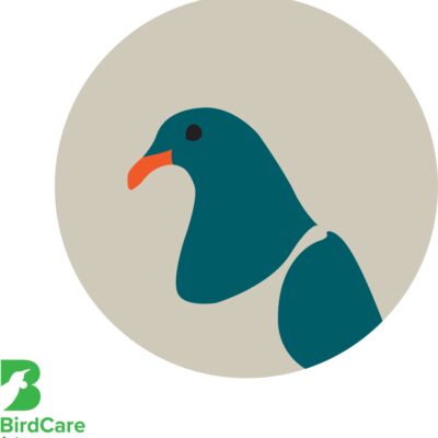 Kereru Tote Graphic Thumbnail