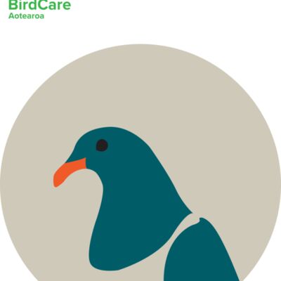 Kereru Tshirt Graphic Thumbnail